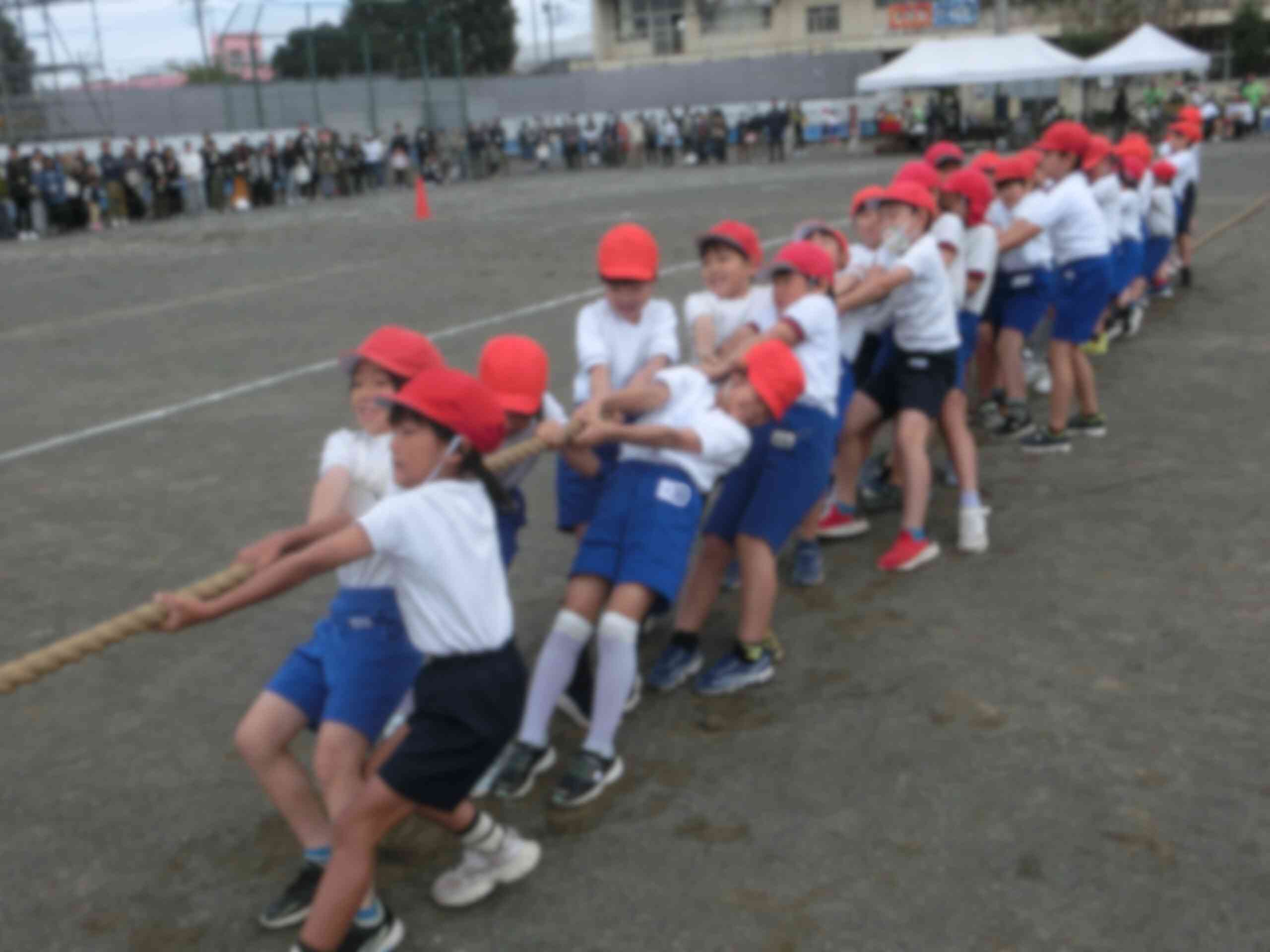 f68fb180-36ad-424c-a2a1-68a49e5909e5