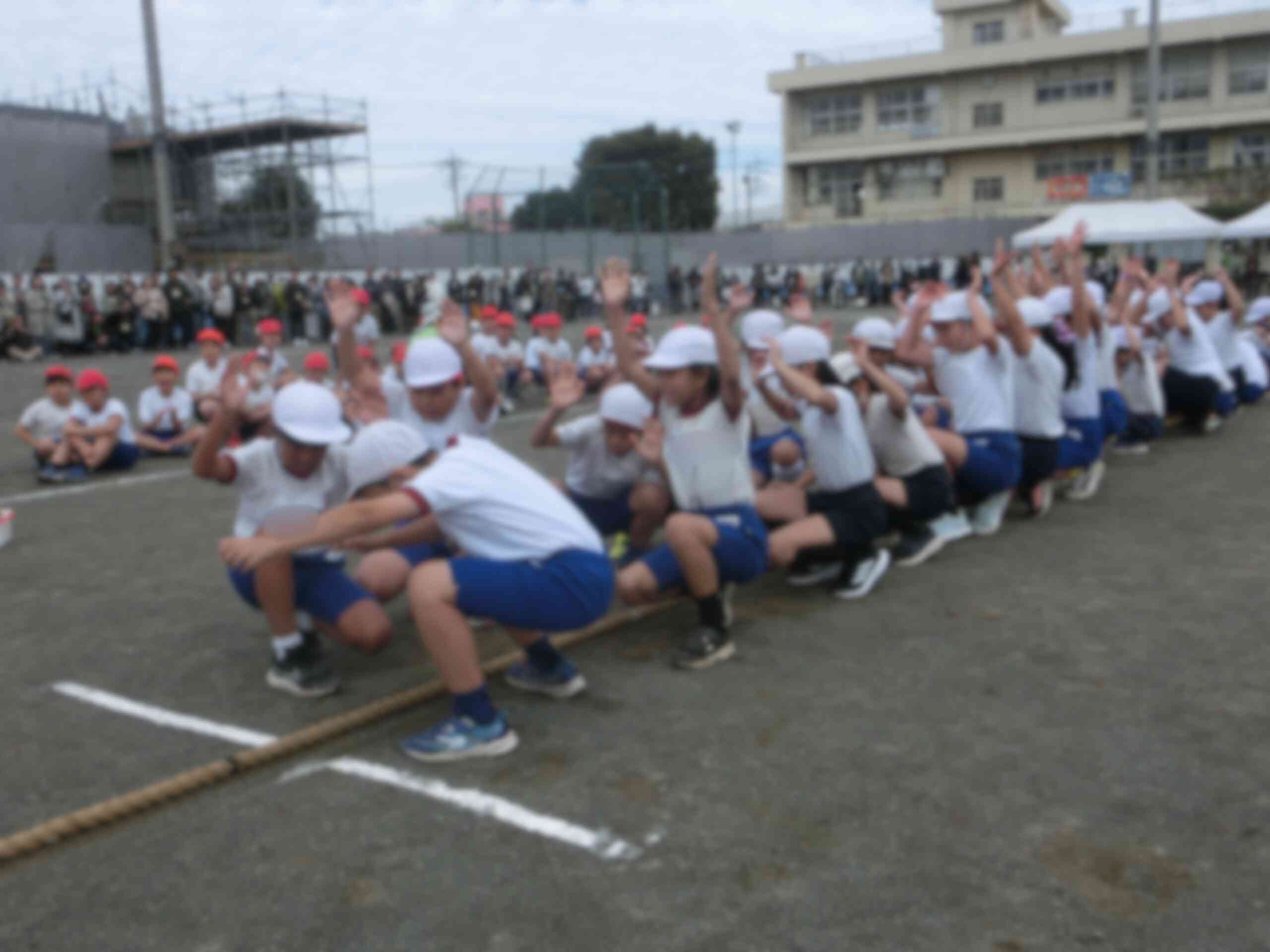 79da119e-cf5f-4ac1-b2e1-bb68adfb8a77