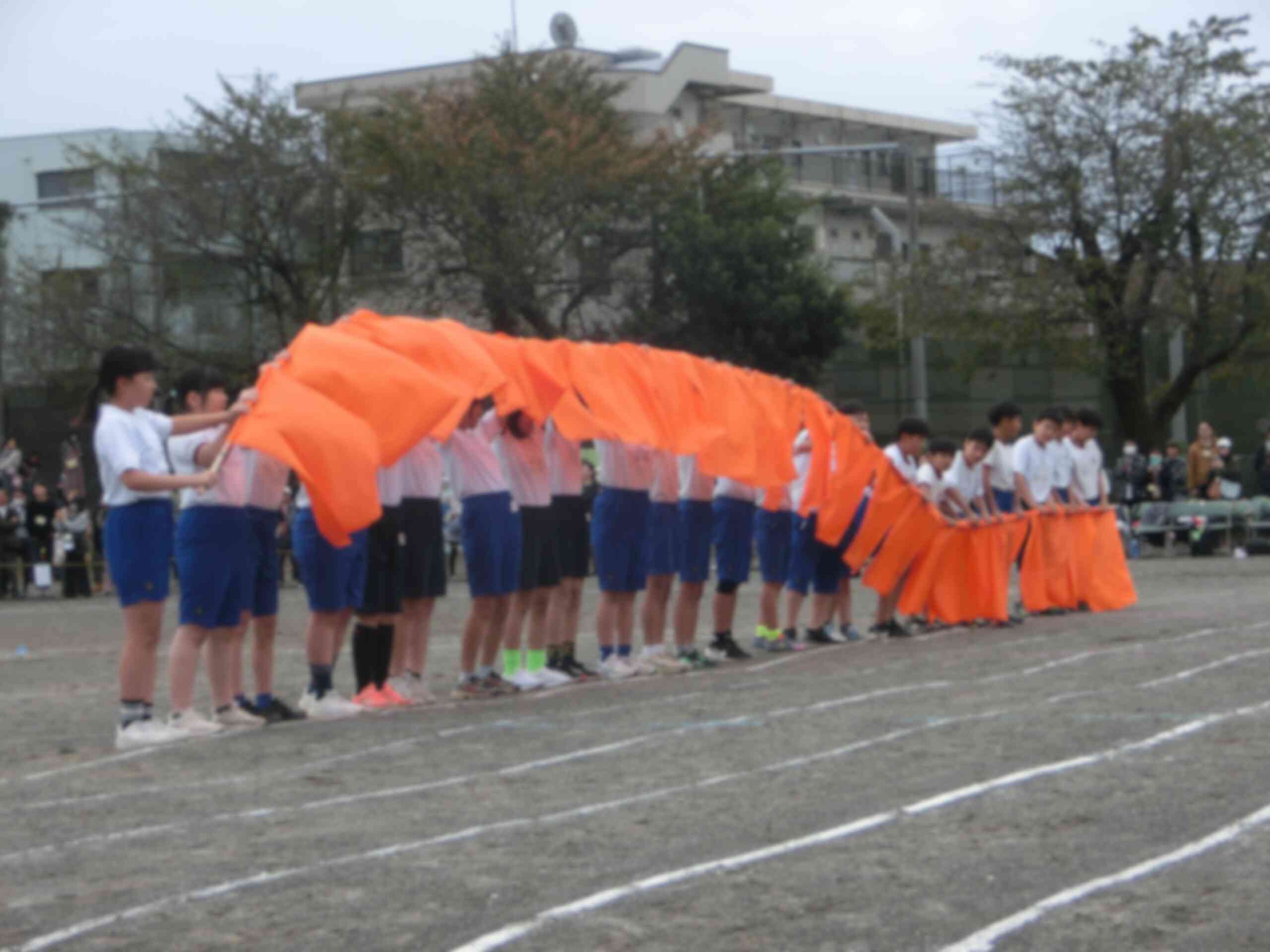 68cee32e-b8fd-407f-8cf7-498753cd3f85