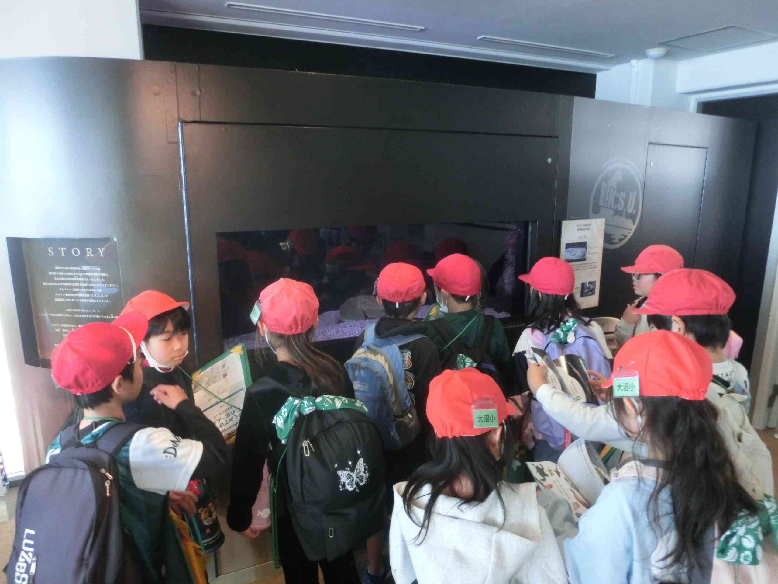 48149d1b-046b-488f-9e4c-812819c8acf5