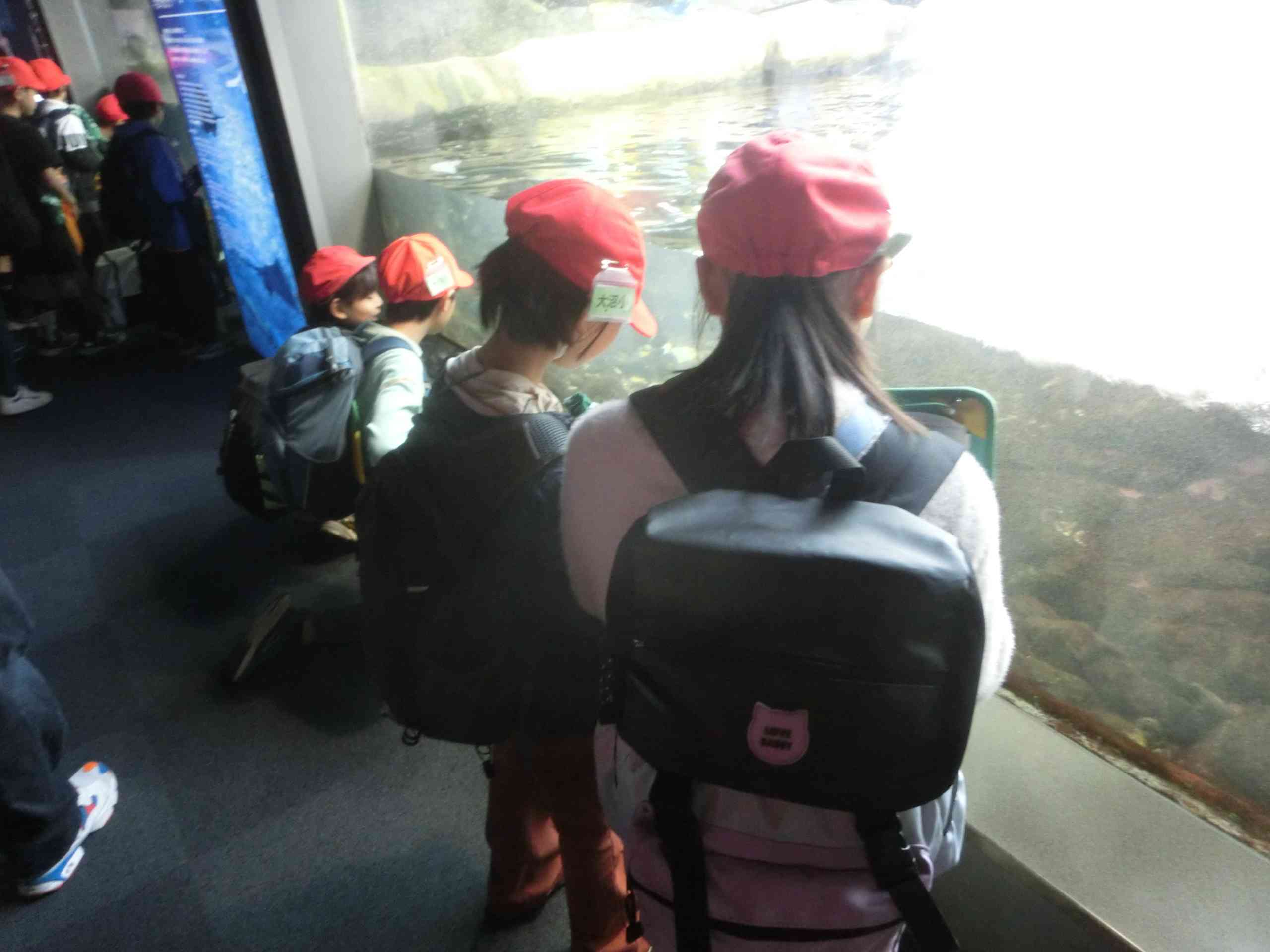 c2424ade-59f5-49bd-aaf8-435348395173