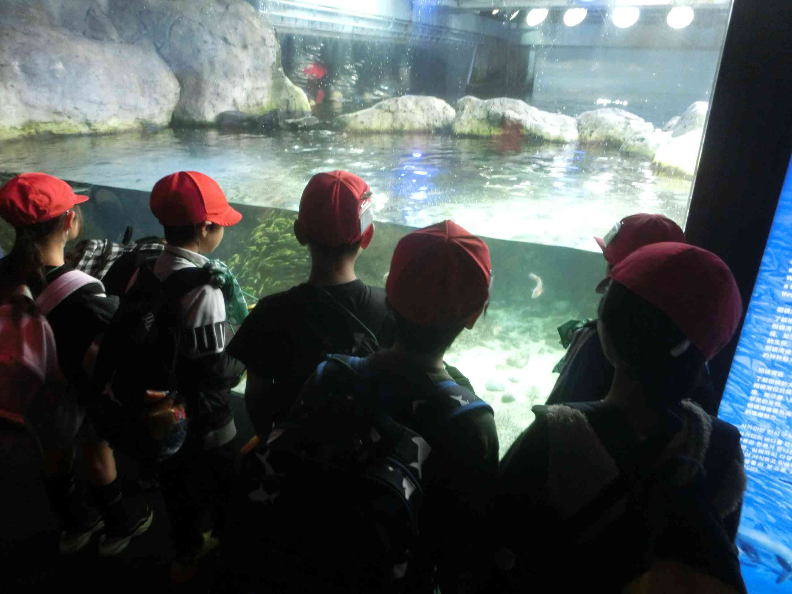 8adeeb2c-4567-4ab7-9e93-a1432faf1073