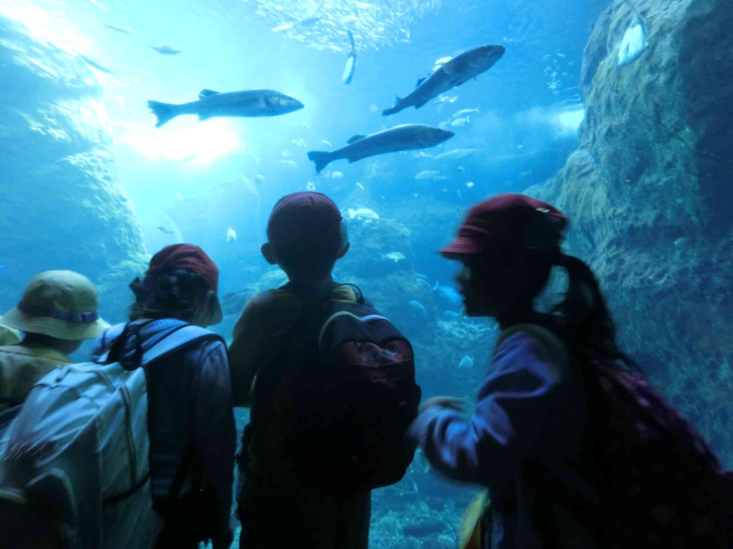 44cc8e15-9daa-4734-9c4e-8646983cce6e