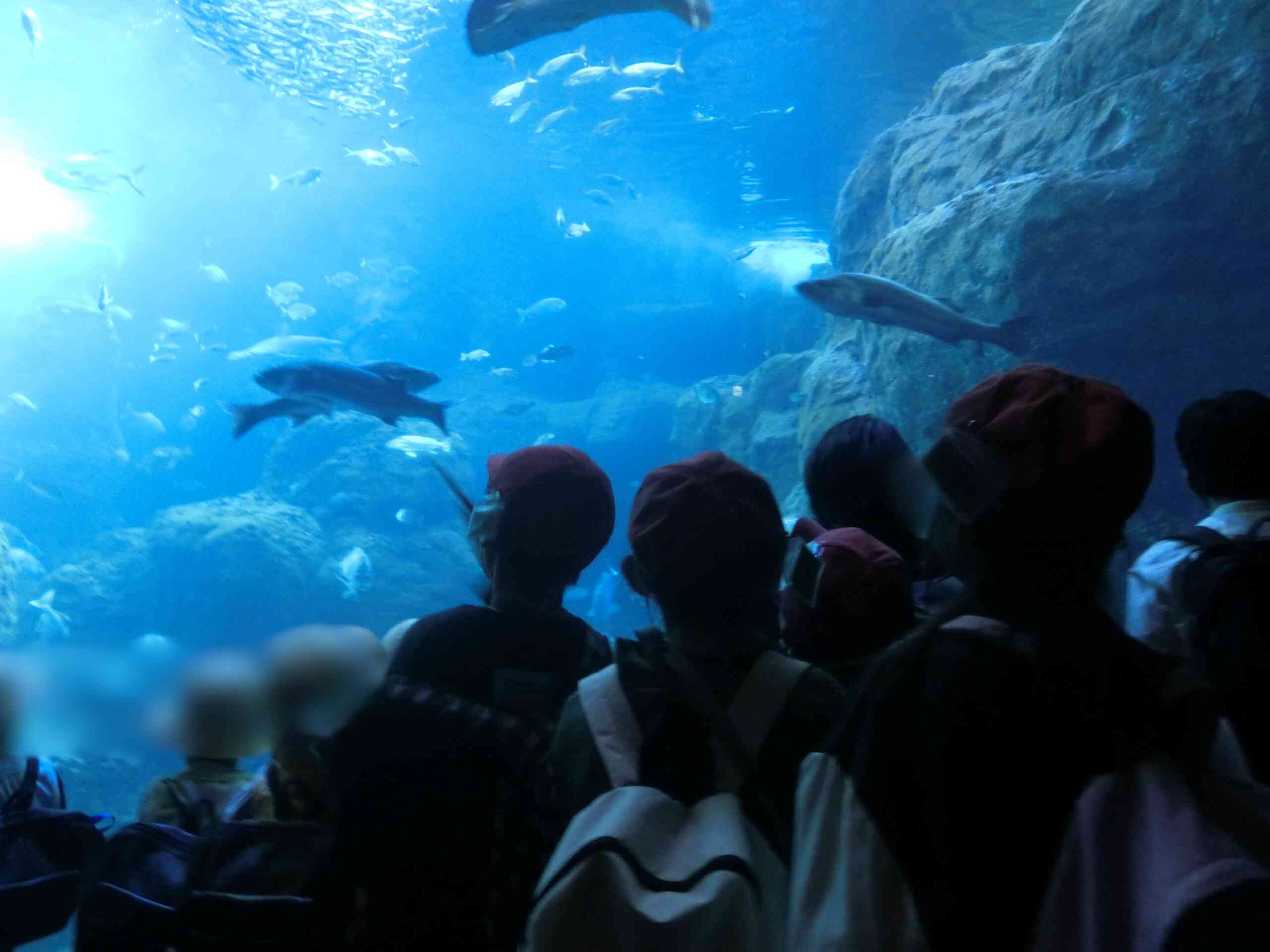 0f2ca7ff-86ef-47ce-8df0-85d8aee835e6