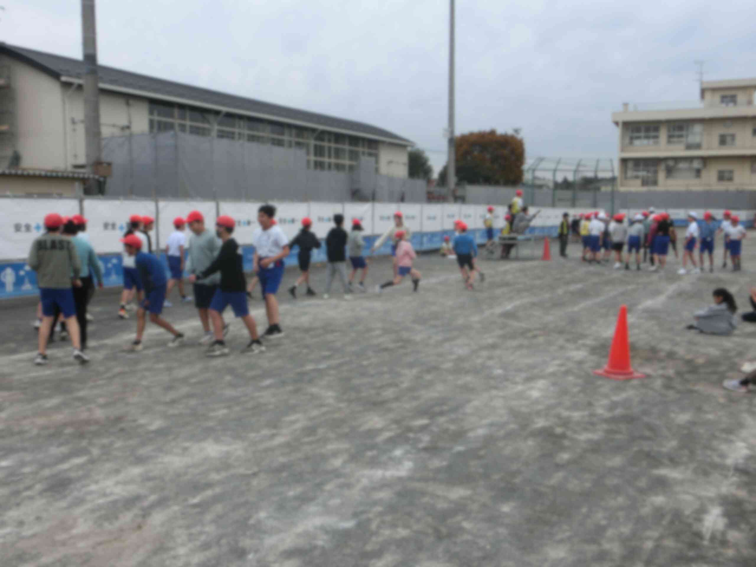 5d1b9b68-3482-402b-8d90-d43f6f30d09c