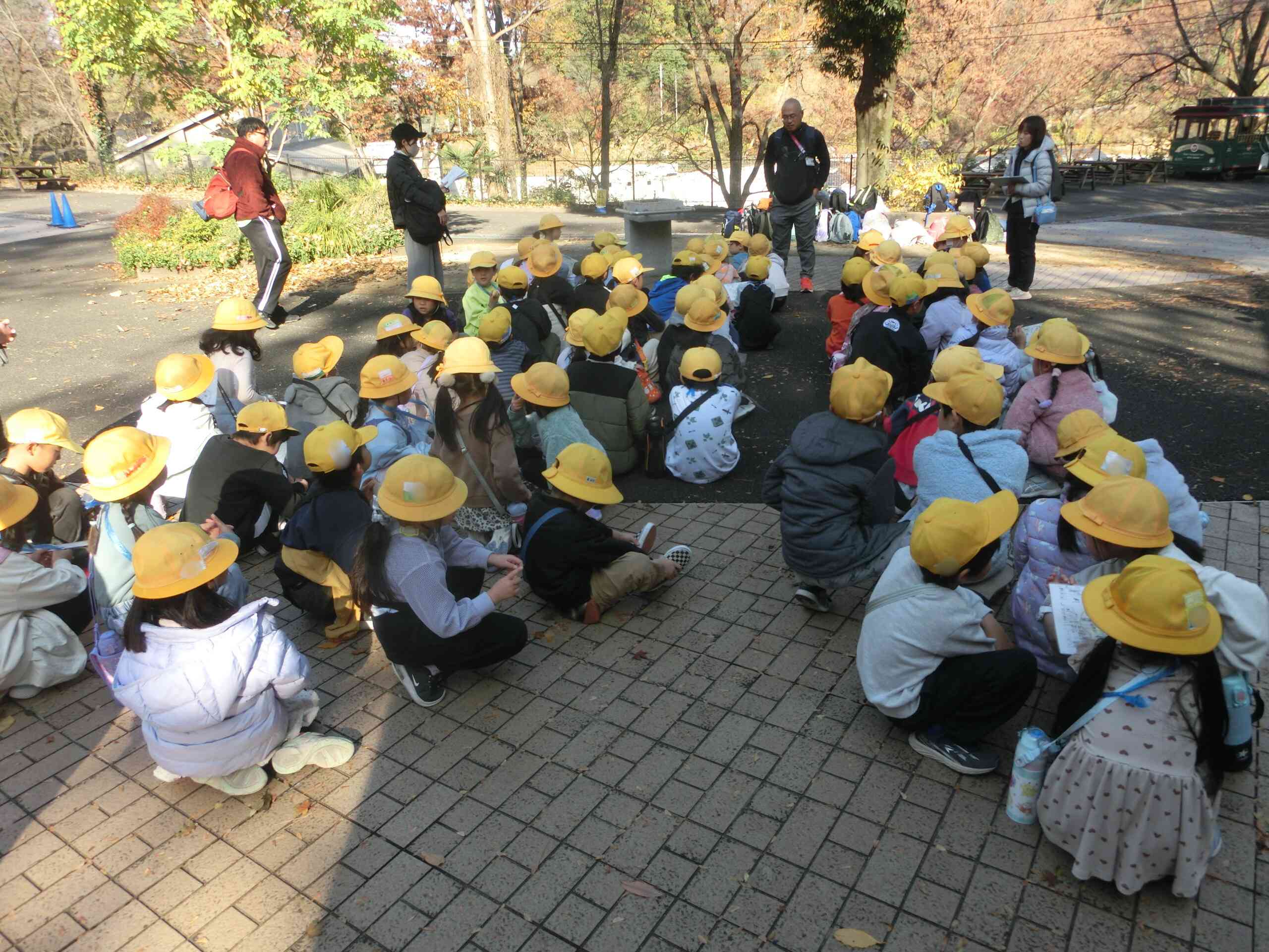 3beae7ad-7c13-4525-b8cb-9a9e0dc93dcc (1)