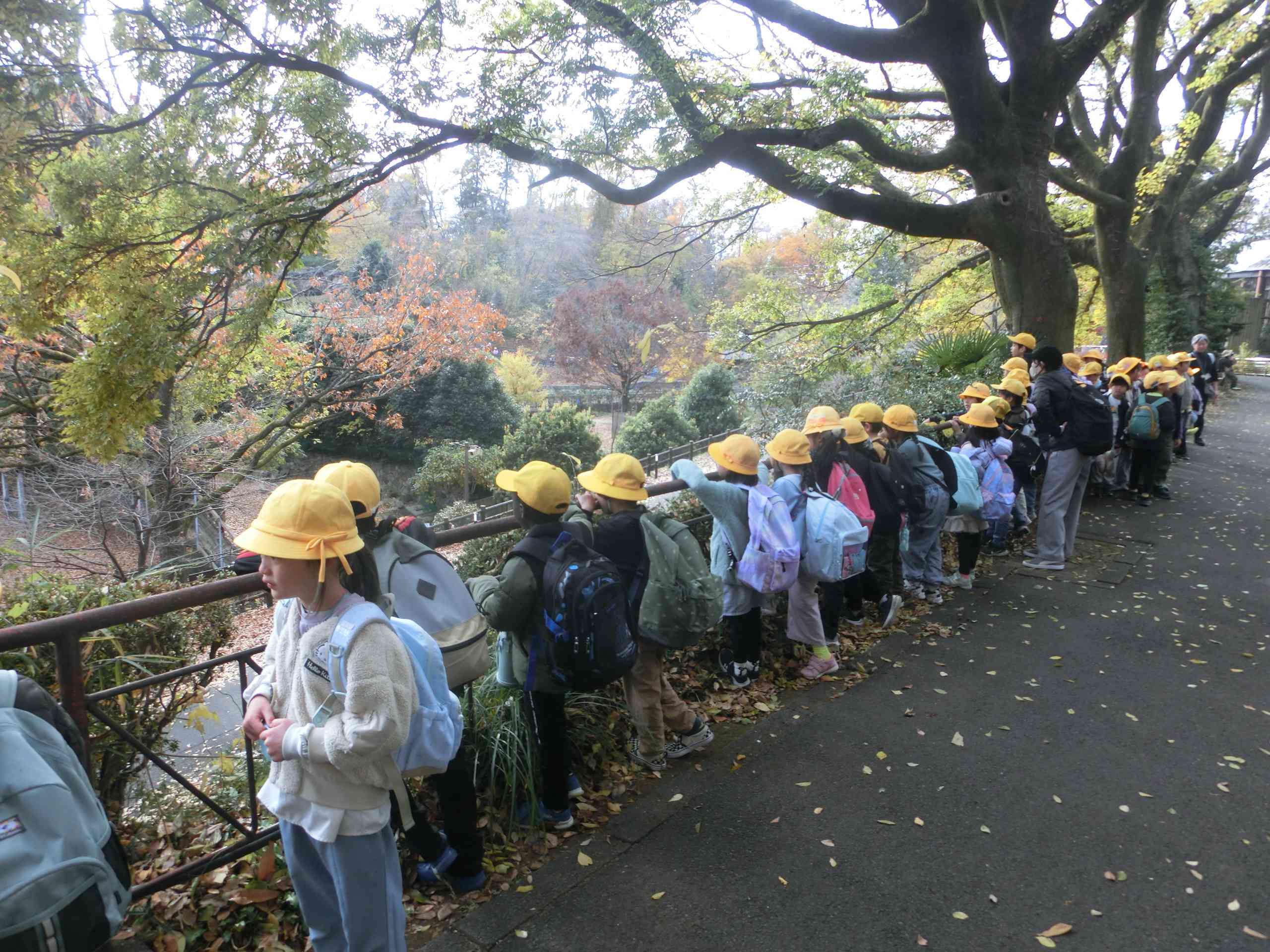 8d2fc27c-ac15-4079-a0c0-088050cef1f0