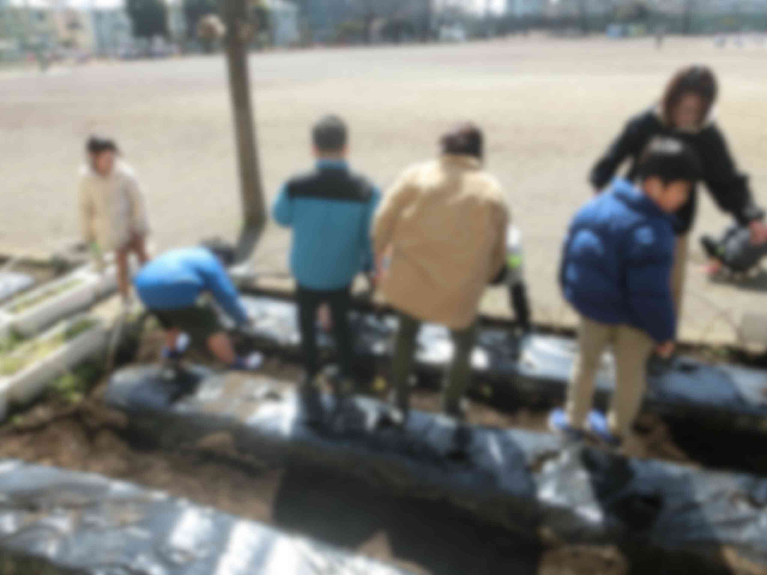 2a9be5b2-ab84-42ff-84c1-49cc000119e4