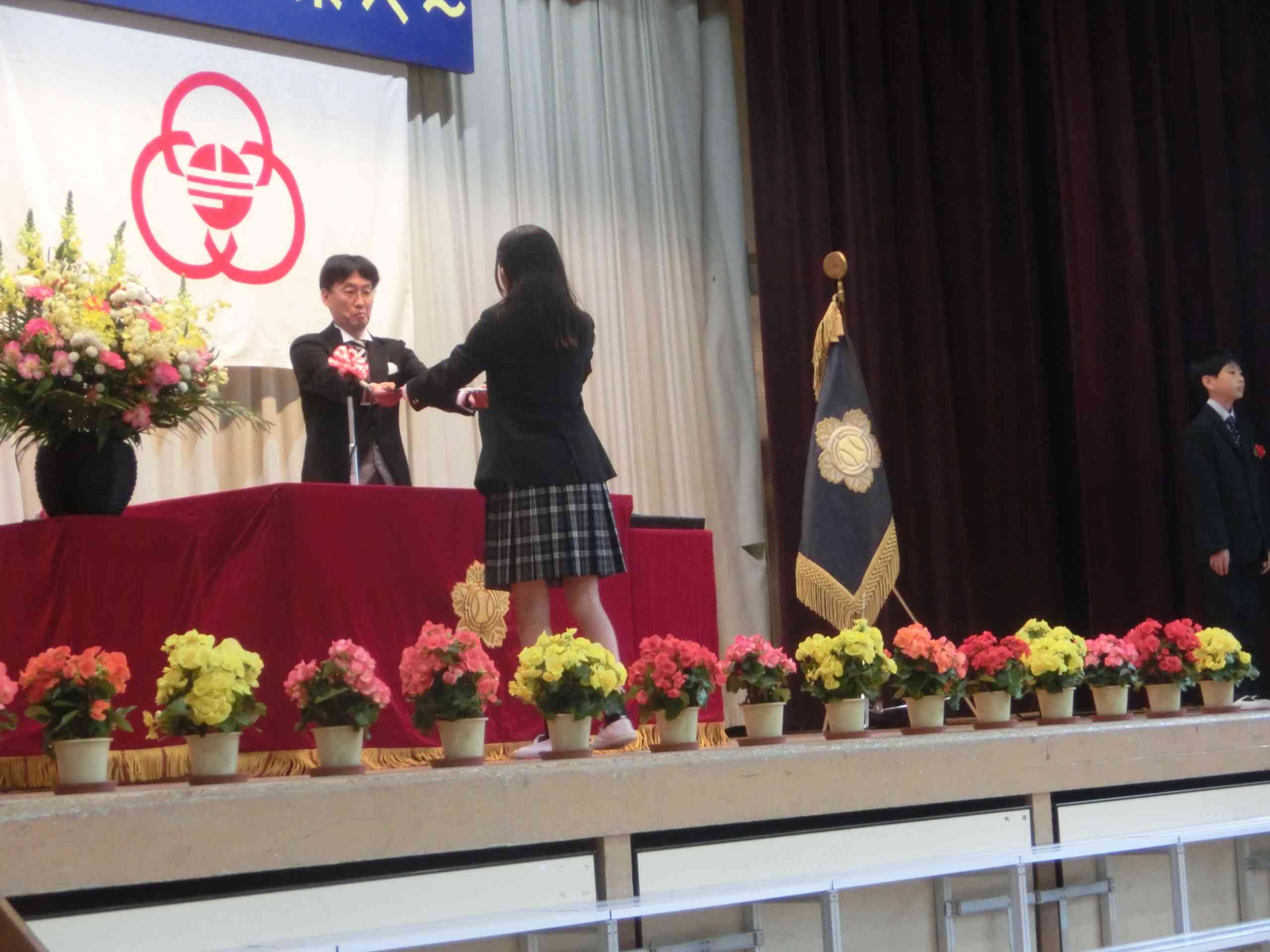 78c2ca28-872a-49f0-8b79-80ea33ca4735