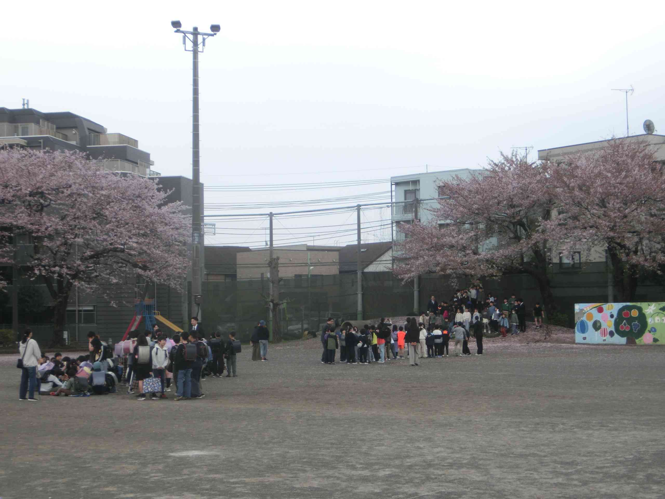 3059ef04-65a4-4114-81cc-c03eca9ea838